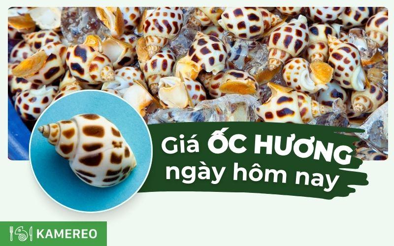 Trai nghiem an oc huong loai 1